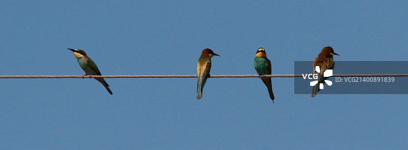 莱萨尔克，法国图片素材
