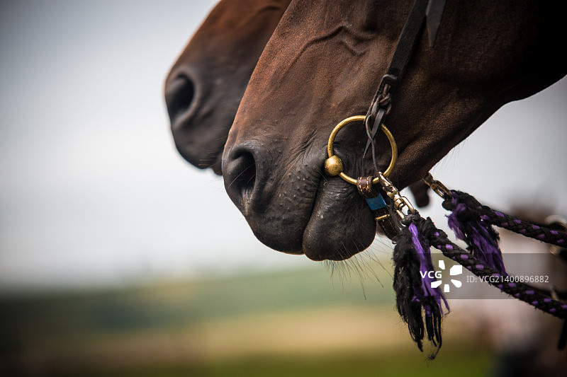 IMG_6466-1.jpg图片素材