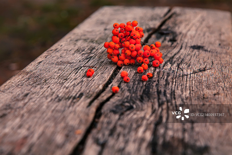 质朴木质背景上的花楸浆果图片素材