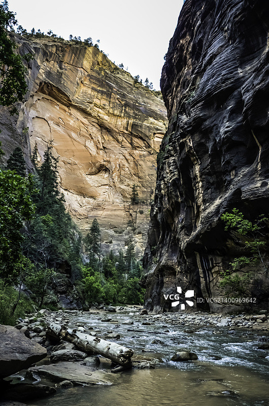 锡安国家公园的维尔京河图片素材
