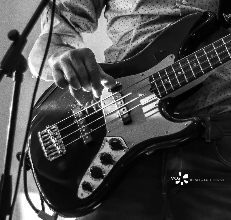 黑白鲈鱼图片素材