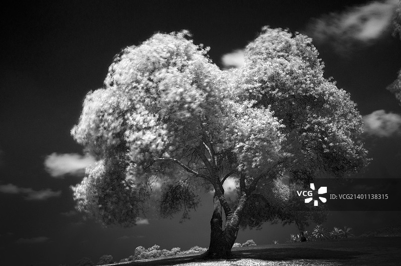 拉马特甘，以色列图片素材