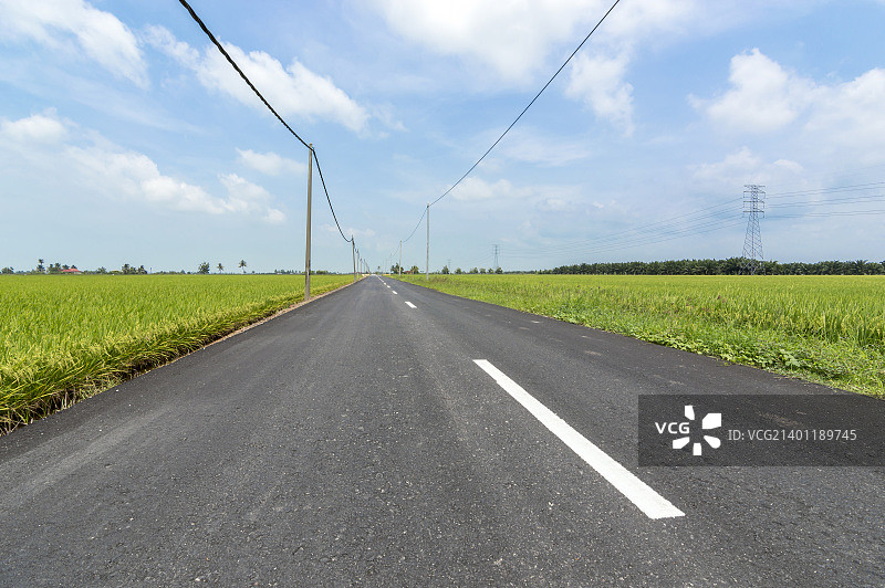 马来西亚雪兰莪，乡村稻田间的沥青路图片素材