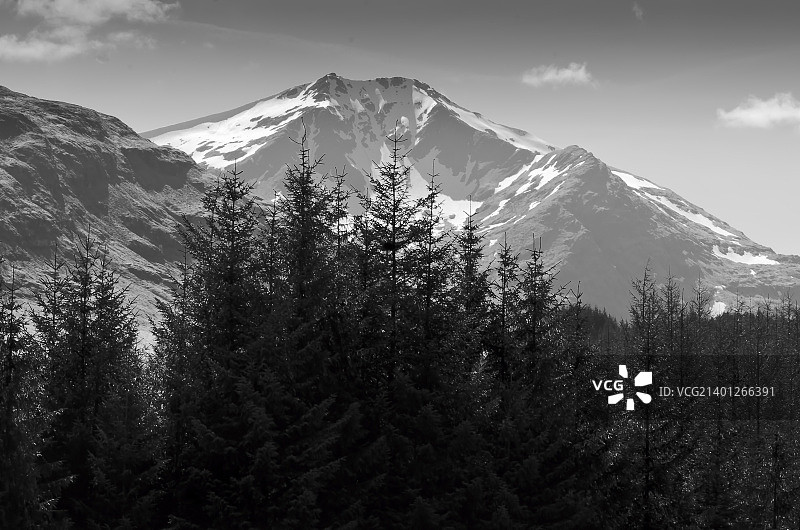 透过树木看山峰——苏格兰格兰科图片素材