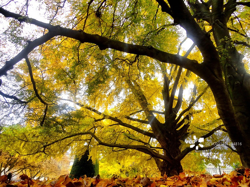 口琴：两国交界处的秋日景色图片素材