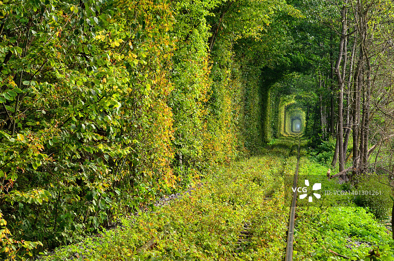 爱的隧道2图片素材