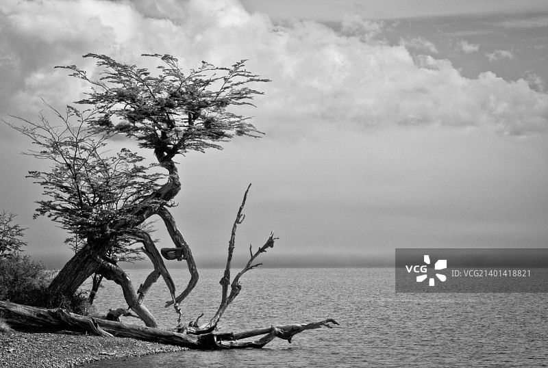 无标题的图片素材