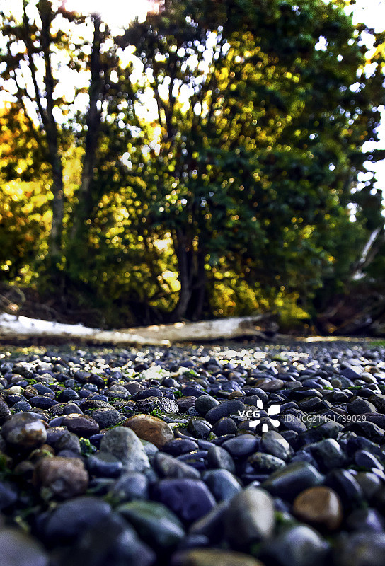 岩石海岸图片素材