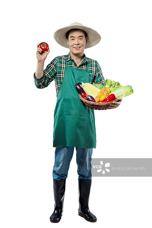抱着蔬菜的农民图片素材