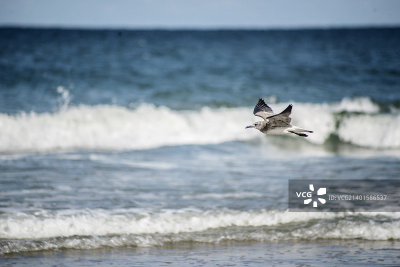 在飞行中图片素材