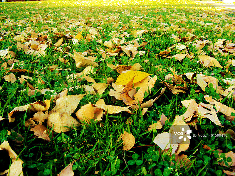 墨西哥乌鲁阿潘图片素材