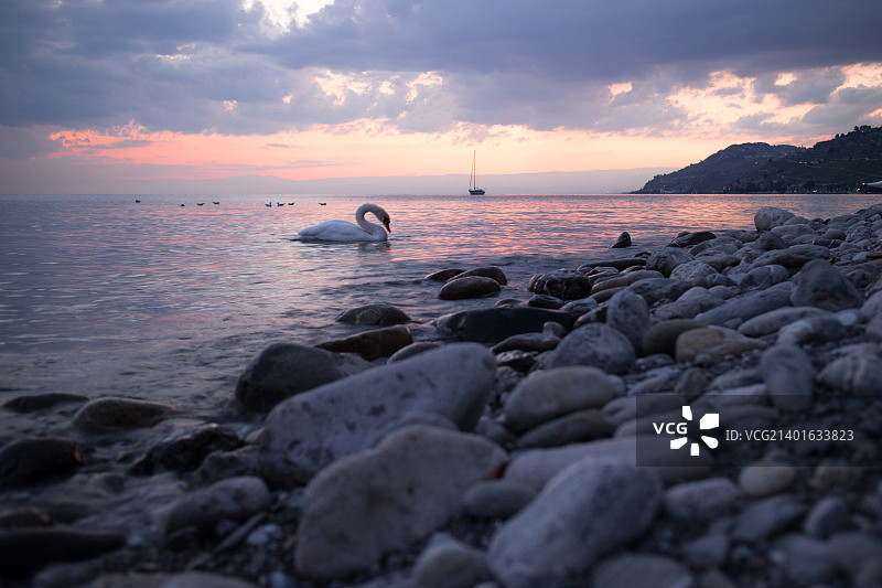 瑞士沃韦图片素材