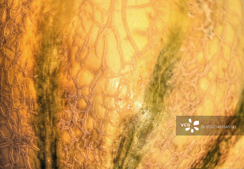 抽象35图片素材