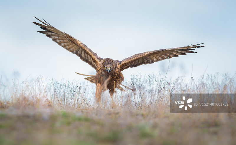 下一个就是你图片素材