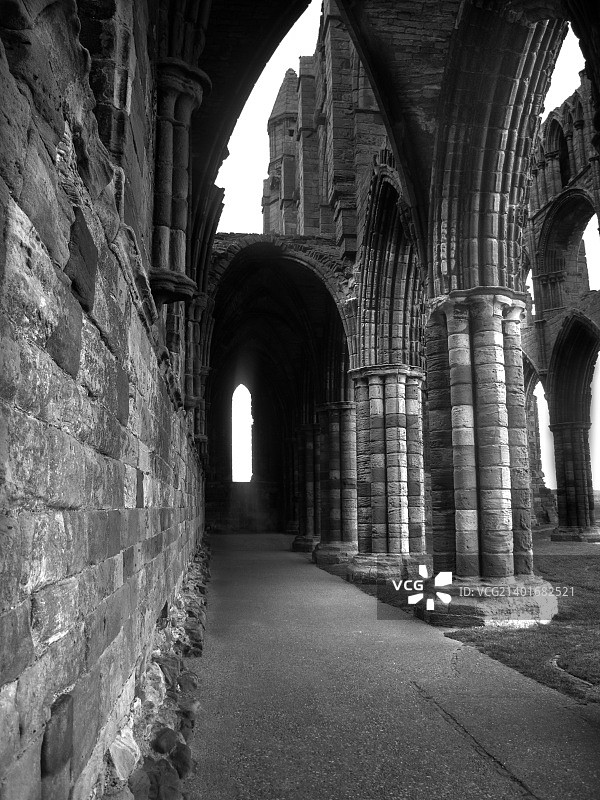 惠特比艾比图片素材