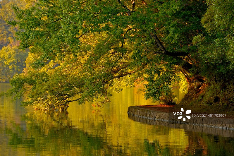 湖上日落-2图片素材