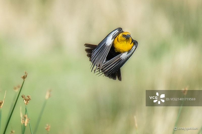 正中目标图片素材