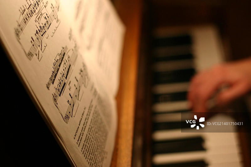 图片素材编号：IMG_7809图片素材