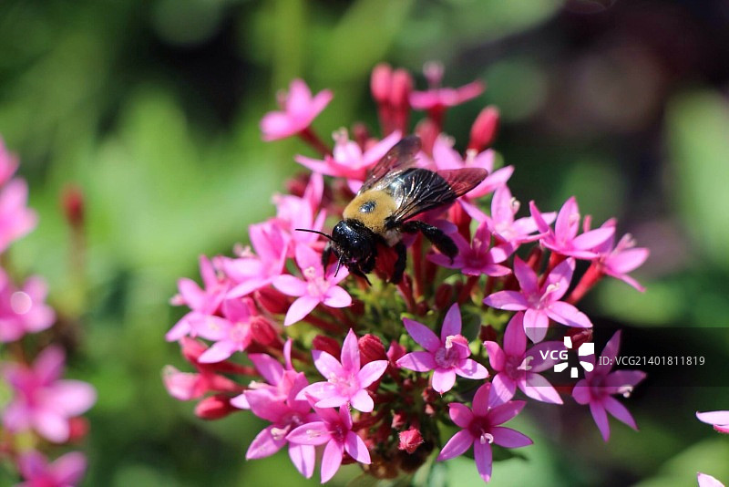 悠闲漫步图片素材