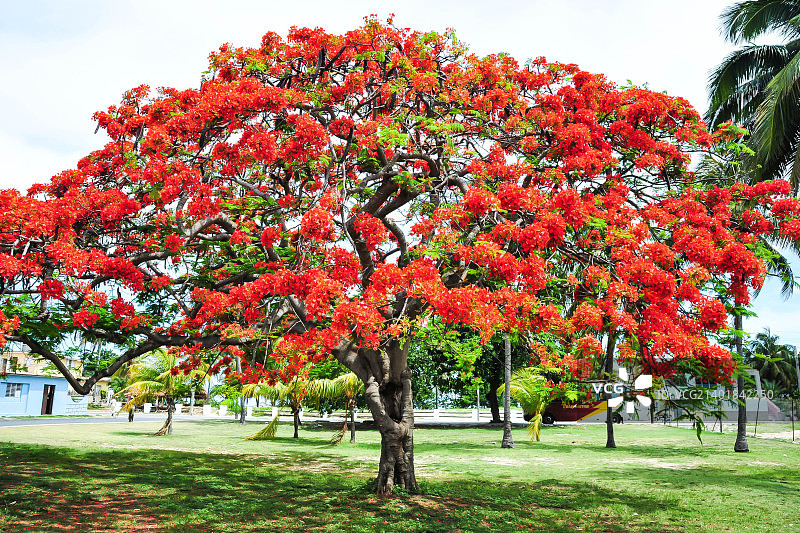 DSC_3429.jpg图片素材