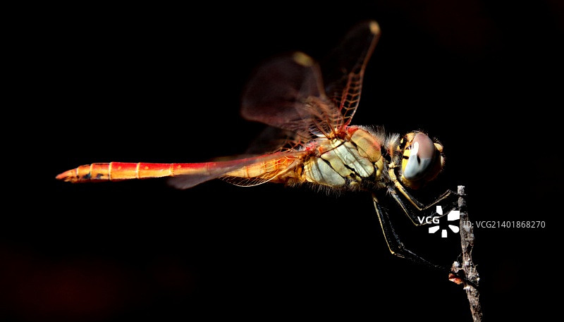 西班牙马萨贡图片素材