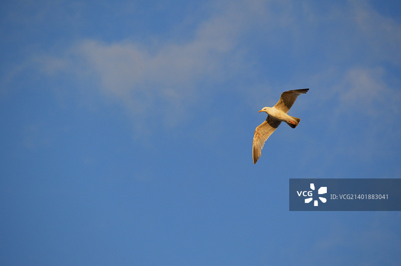 德国宾茨波罗的海度假胜地图片素材