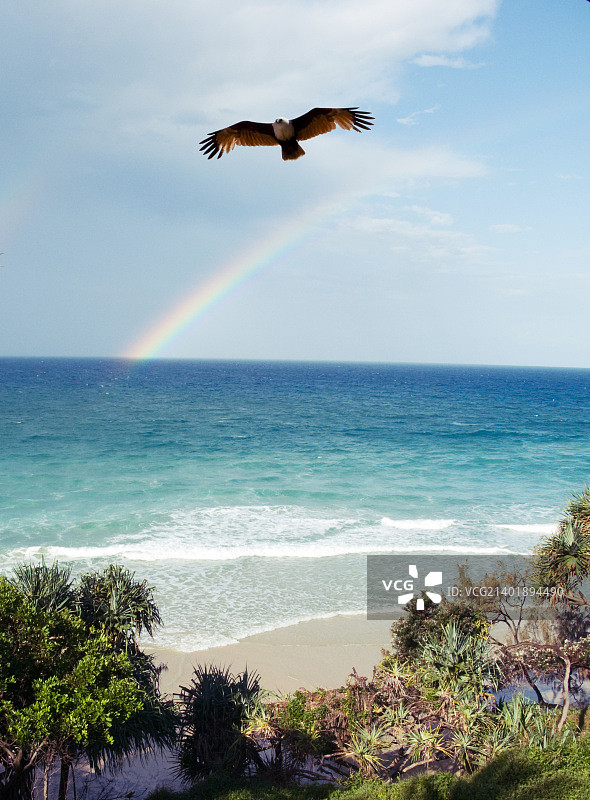 澳大利亚昆士兰州彩虹海滩图片素材