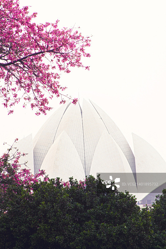 莲花寺图片素材