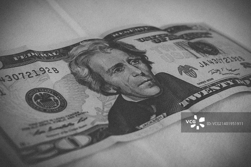 20美元图片素材