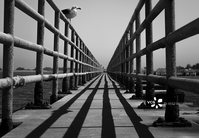 码头风光图片素材