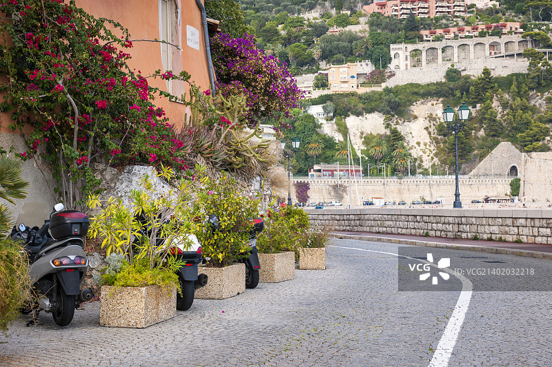滨海自由城的海滨街道图片素材