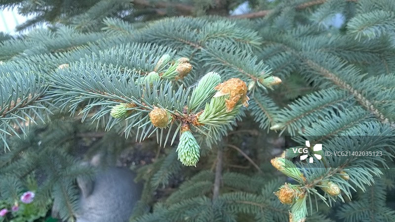 俄罗斯车里雅宾斯克图片素材