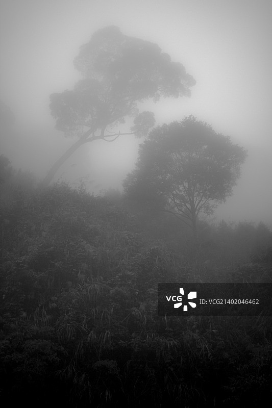 雾景 04图片素材