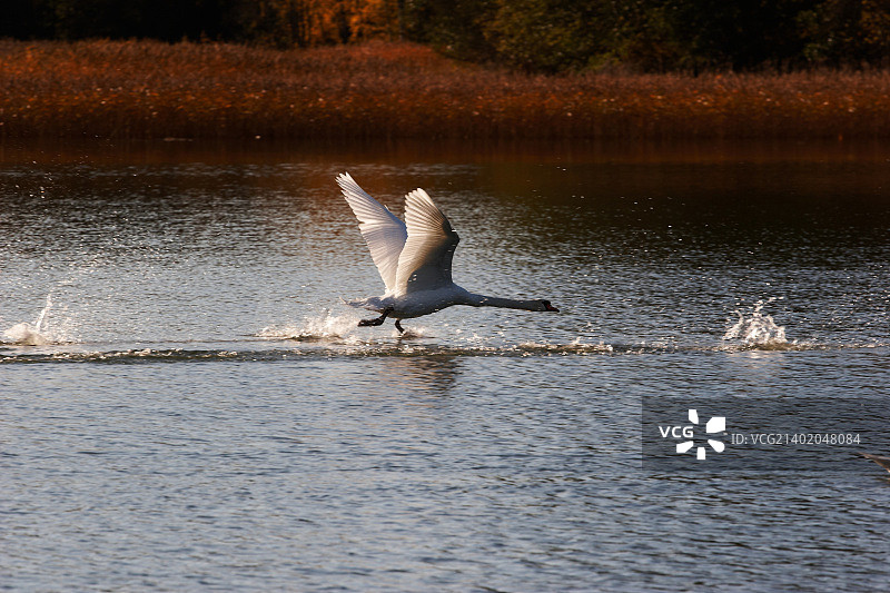 起飞序列 1图片素材