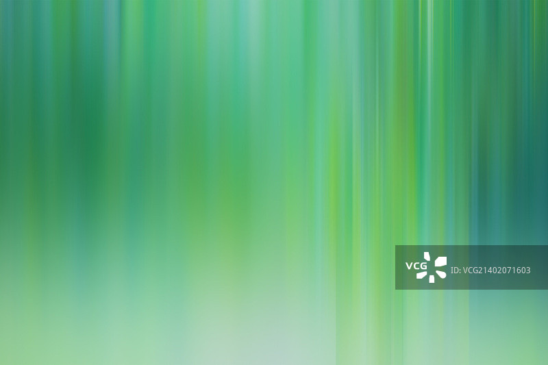 模糊森林#8图片素材