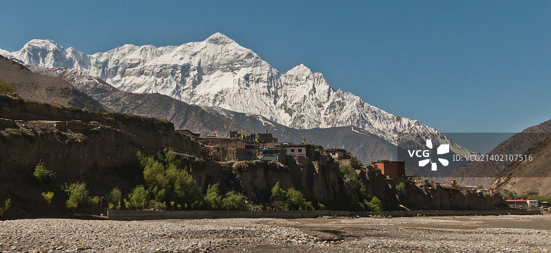 卡格本尼图片素材