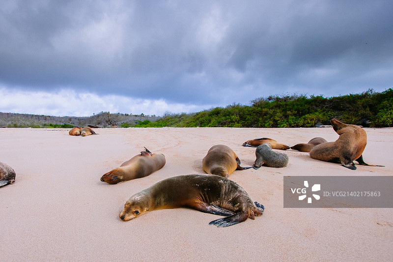阿约拉港，厄瓜多尔图片素材