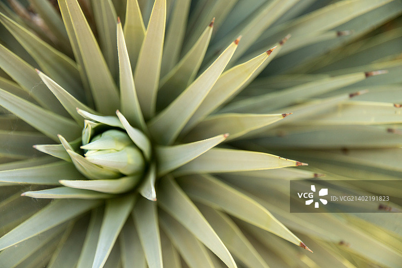 Facebook照片图片素材