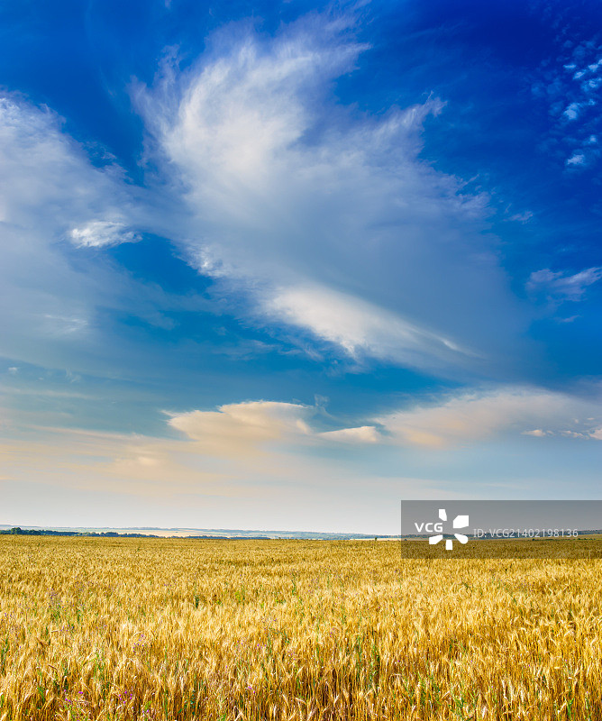 七月热门图片素材