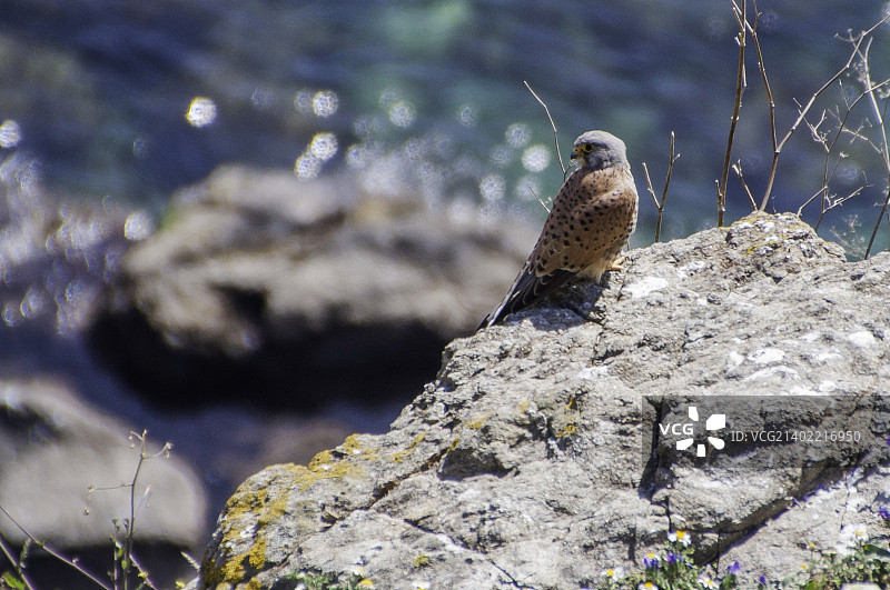 西班牙休达图片素材