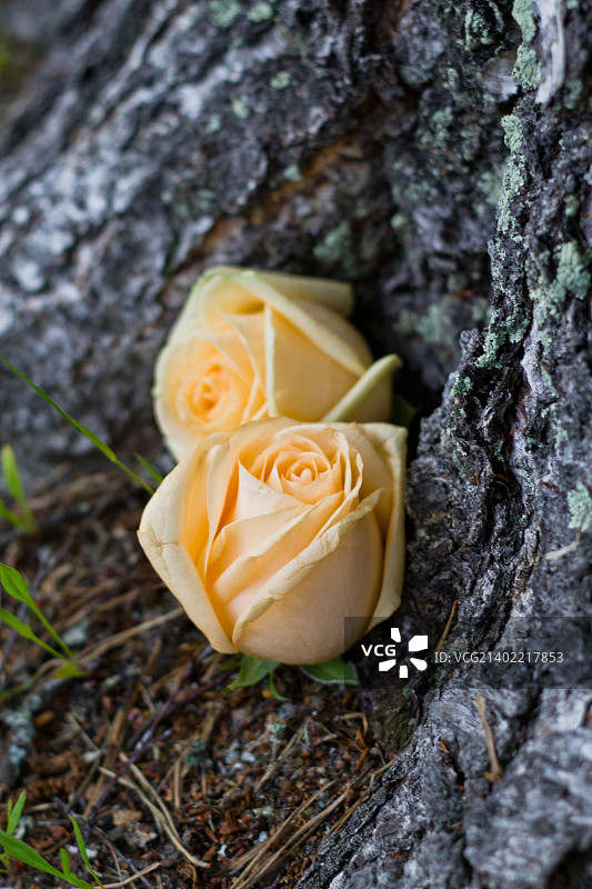 芬兰于韦斯屈莱图片素材