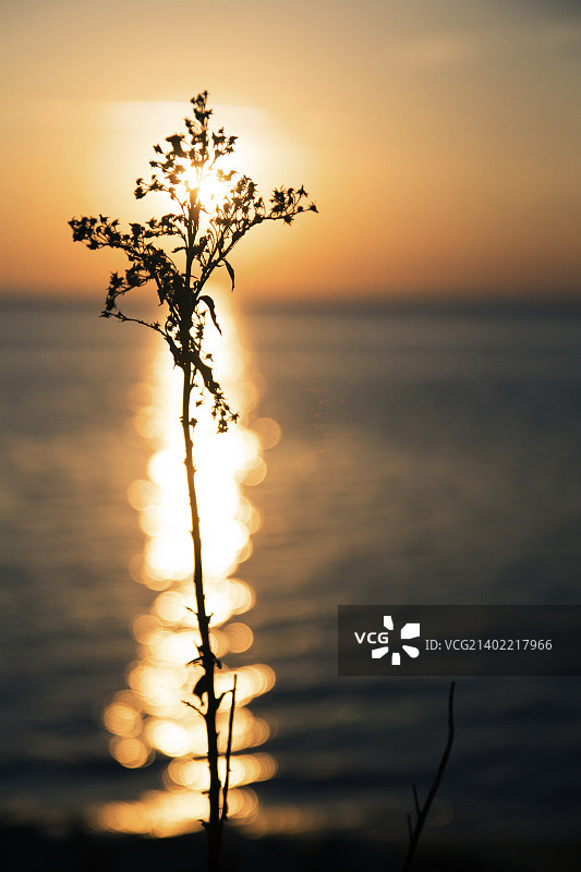 桑迪胡克2的夏日日落图片素材