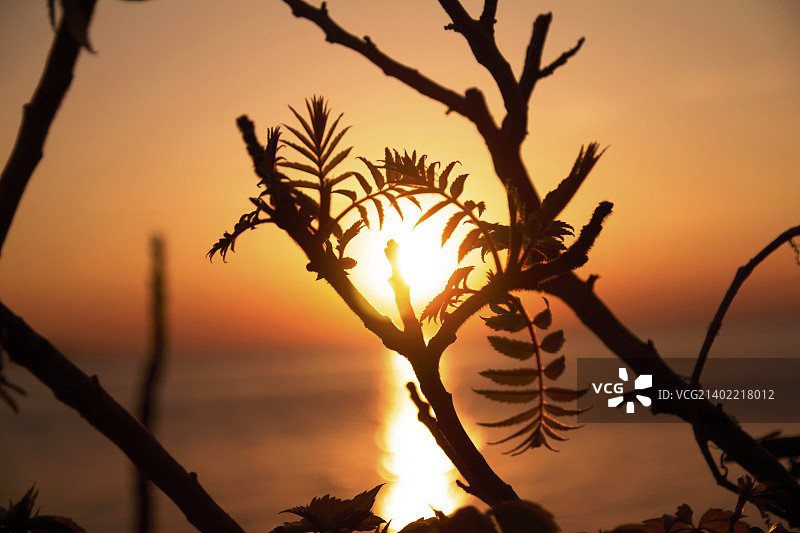 桑迪胡克的夏日日落 1图片素材