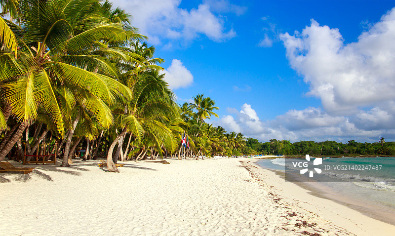多米尼加共和国的加勒比海滩图片素材