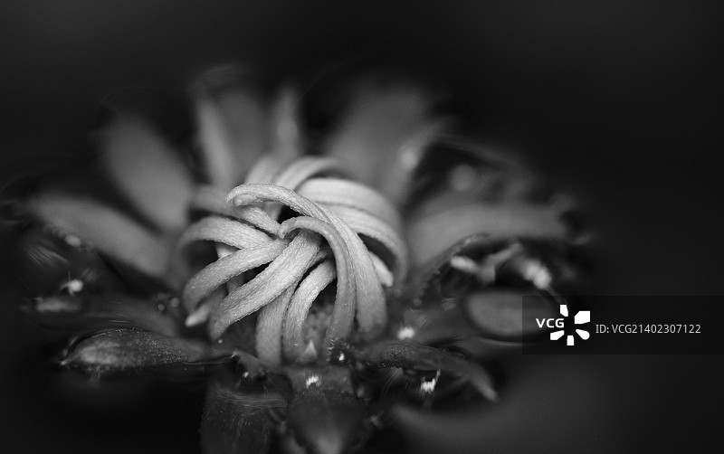 加拿大贝尔斯考纳斯区图片素材