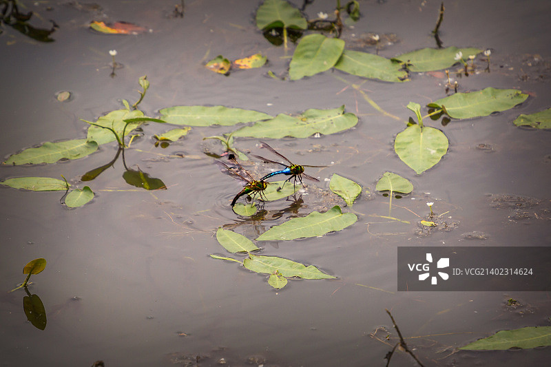 自然风光与贝尔直升机图片素材