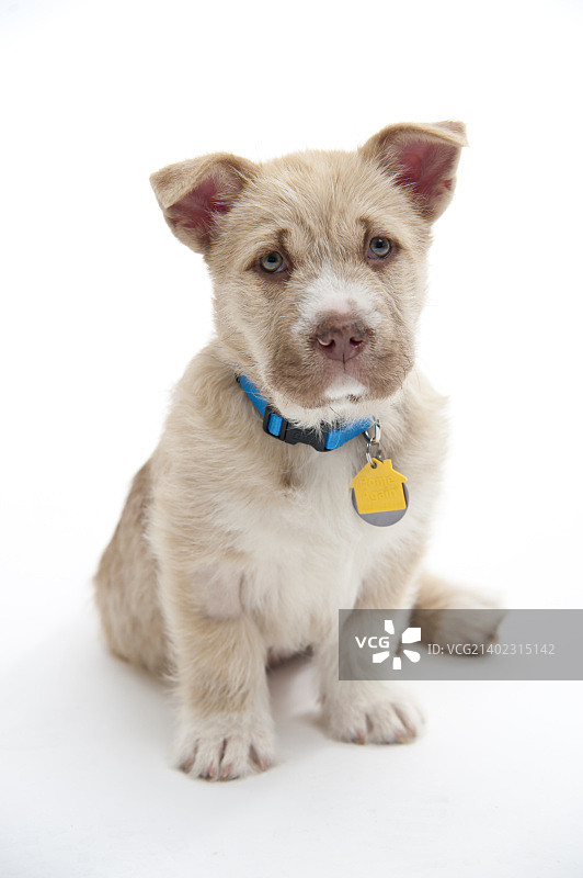 塔卢拉图片素材