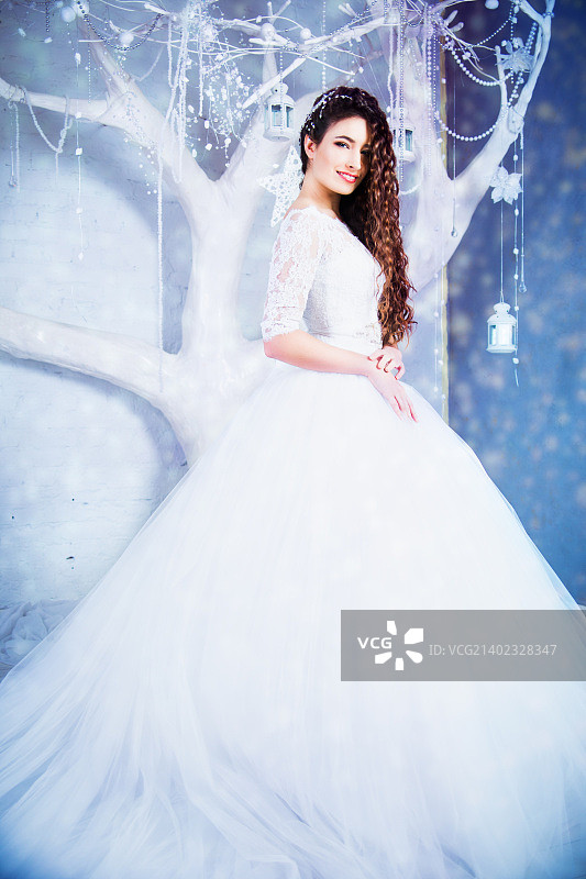 穿着奢华婚纱的漂亮黑发新娘图片素材