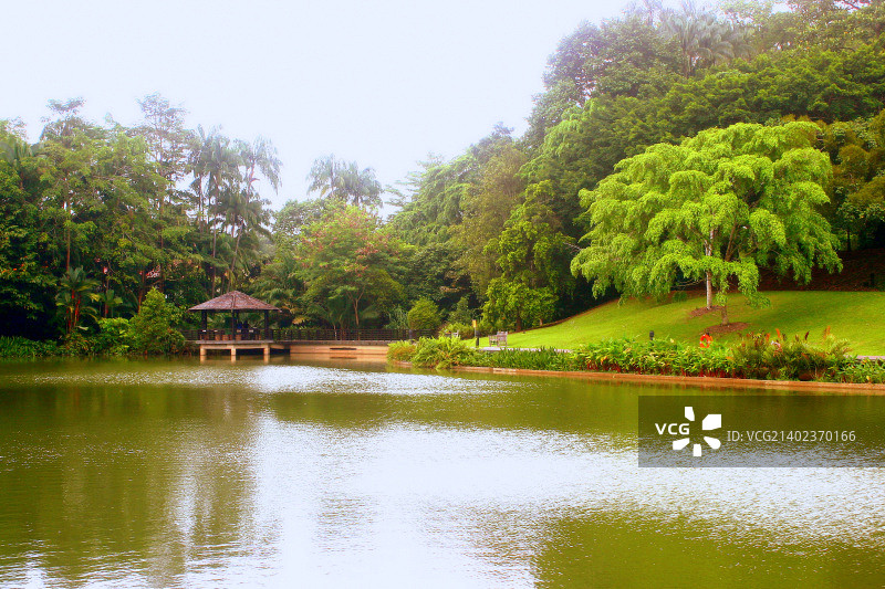 新加坡植物园2015年图片素材