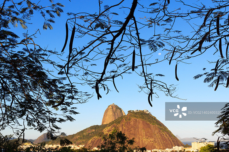 里约热内卢的叶框面包山与月亮图片素材